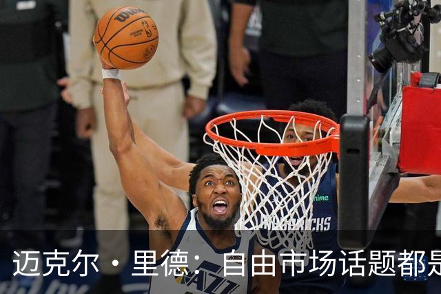 迈克尔·里德：自由市场话题都是关于勒布朗的 多关注一下老将吧